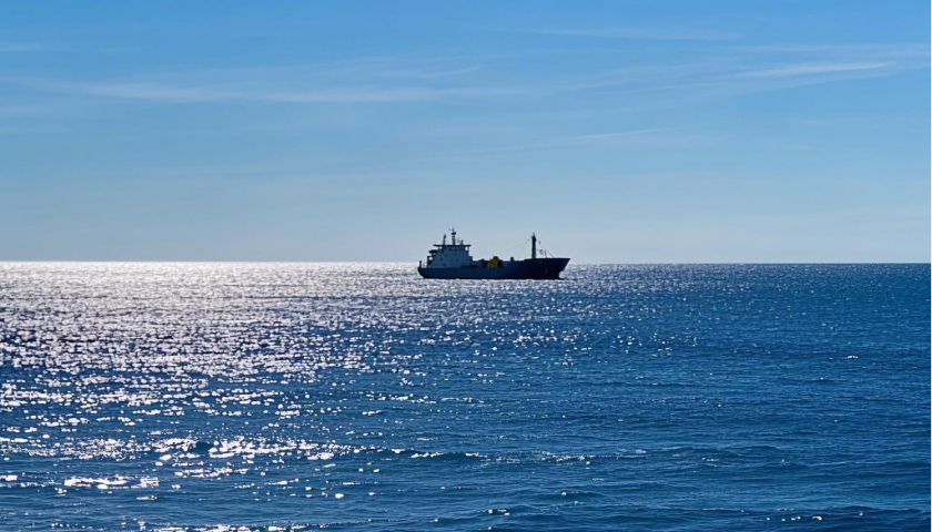 冷藏集装箱海运